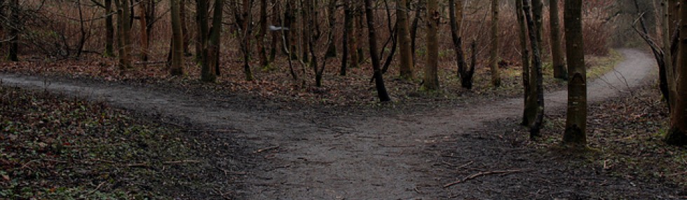 Seeking the Ancient Paths